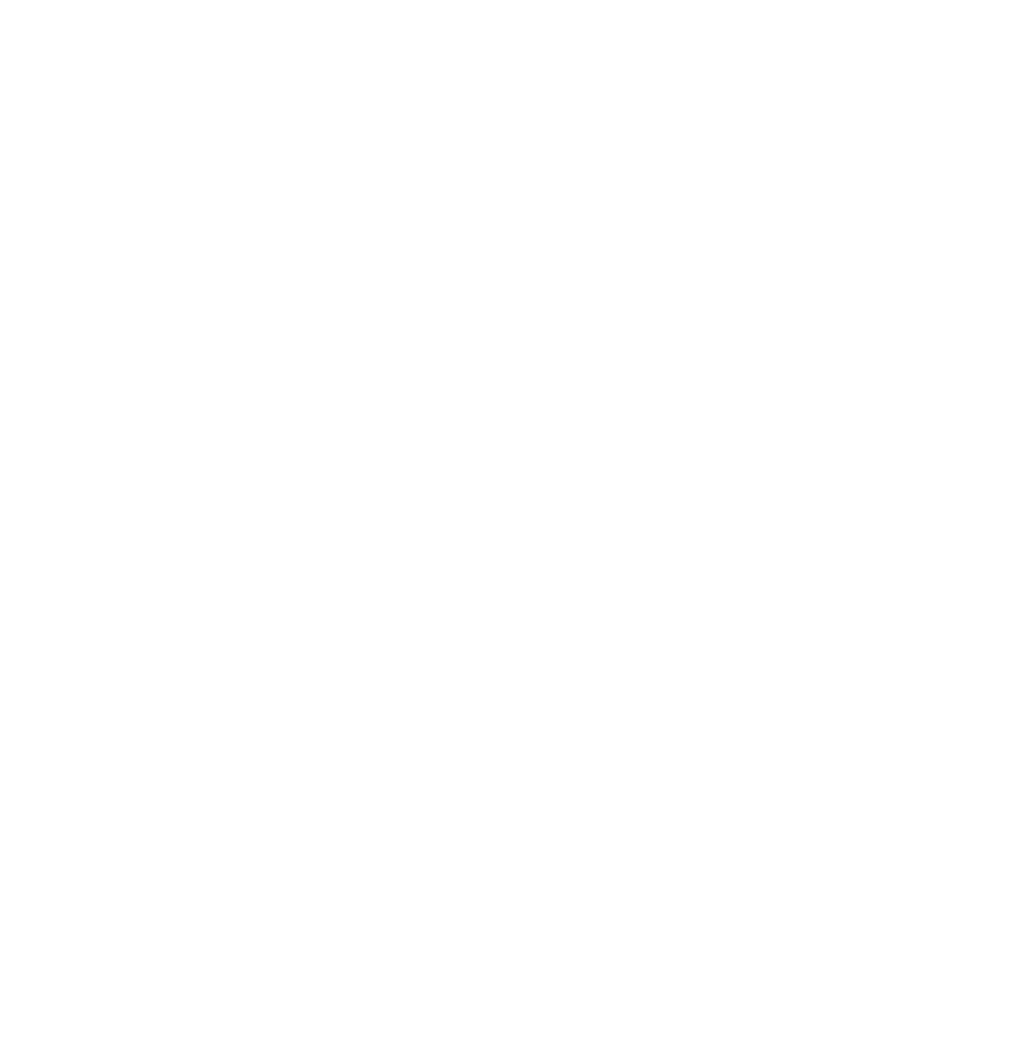 natboringnails logo